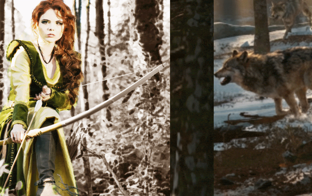 The Lost Tribe of Alder Woods