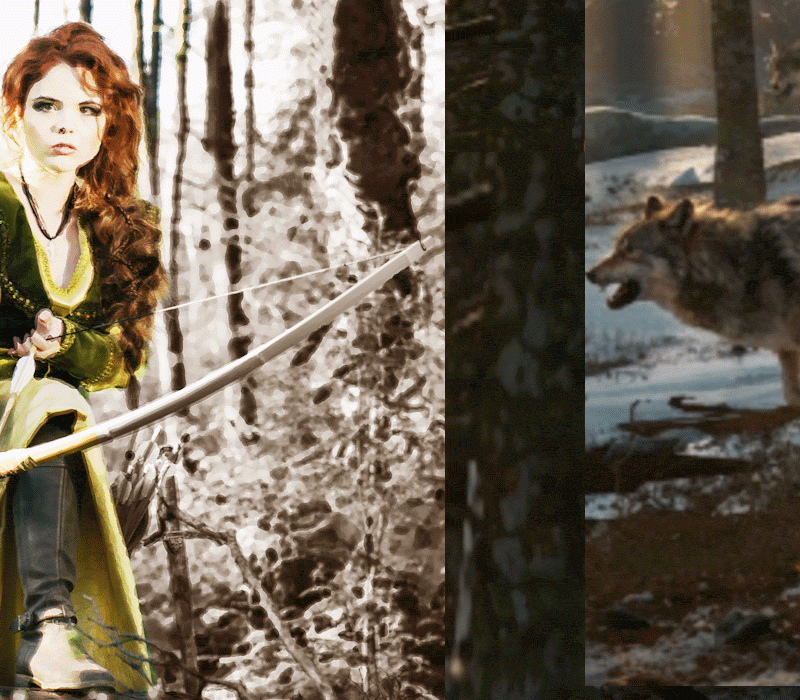 The Lost Tribe of Alder Woods