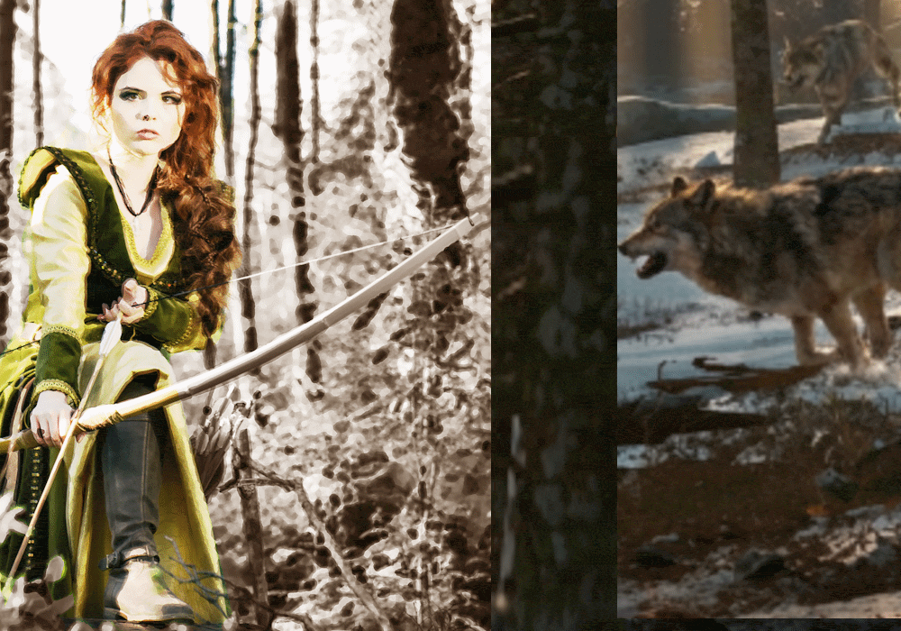 The Lost Tribe of Alder Woods